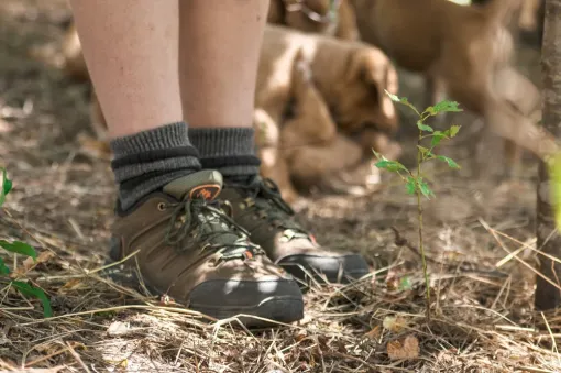 Soulager une épine calcanéenne à Toulouse, Toulouse, Marion