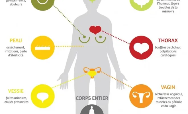 Méthode naturelle pour soulager la ménopause à Toulouse, Toulouse, Marion