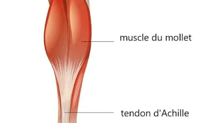 Comment soulager un tendon d'Achille douloureux à Toulouse, Toulouse, Marion